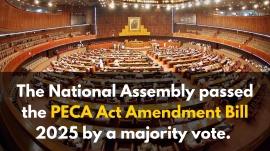 pica act amendmend bill 2025