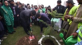 Peshawar: Spring planting campaign begins