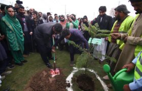 Peshawar: Spring planting campaign begins