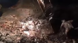 خیبرپختونخوا فوڈ سیفٹی اینڈ حلال فوڈ اتھارٹی