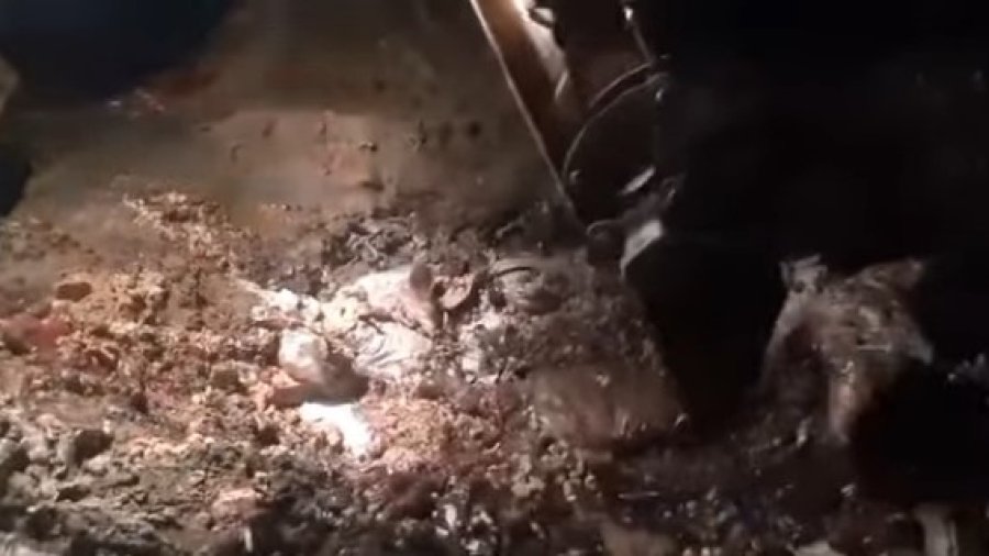 خیبرپختونخوا فوڈ سیفٹی اینڈ حلال فوڈ اتھارٹی