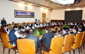گورنر ہاؤس میں پیپلز لائرز فورم کے کامیاب امیدواروں کے اعزاز میں تقریب