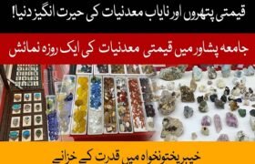 Unveiling Pakistan’s Natural Wealth – Mineral & Gemstone Exhibition 2025
