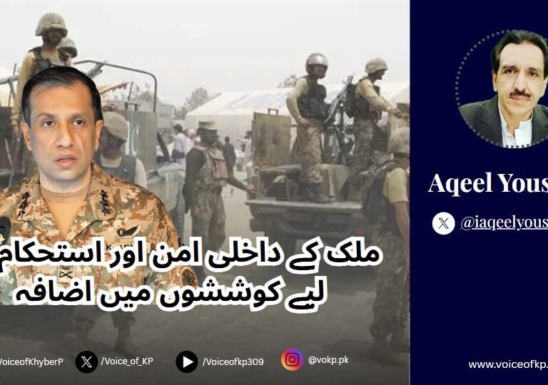 Increased efforts for the country's internal peace and stability