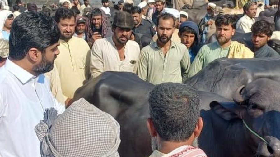 Deputy Commissioner's visit to cattle markets