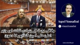 وفاقی بجٹ کے بنیادی نکات اور وزیر اعلیٰ علی امین گنڈاپور کا دعویٰ
