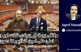 وفاقی بجٹ کے بنیادی نکات اور وزیر اعلیٰ علی امین گنڈاپور کا دعویٰ