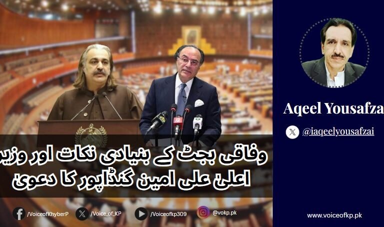 وفاقی بجٹ کے بنیادی نکات اور وزیر اعلیٰ علی امین گنڈاپور کا دعویٰ