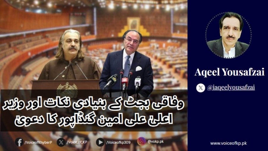 وفاقی بجٹ کے بنیادی نکات اور وزیر اعلیٰ علی امین گنڈاپور کا دعویٰ