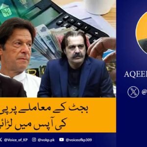بجٹ کے معاملے پر پی ٹی آئی کی آپس میں لڑائی