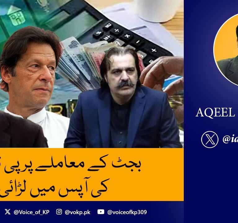 بجٹ کے معاملے پر پی ٹی آئی کی آپس میں لڑائی