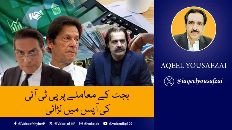 بجٹ کے معاملے پر پی ٹی آئی کی آپس میں لڑائی