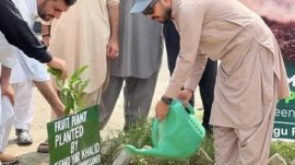 Plantation Drive in DHQ Hangu