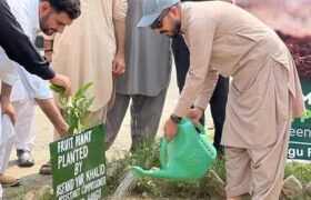 Plantation Drive in DHQ Hangu