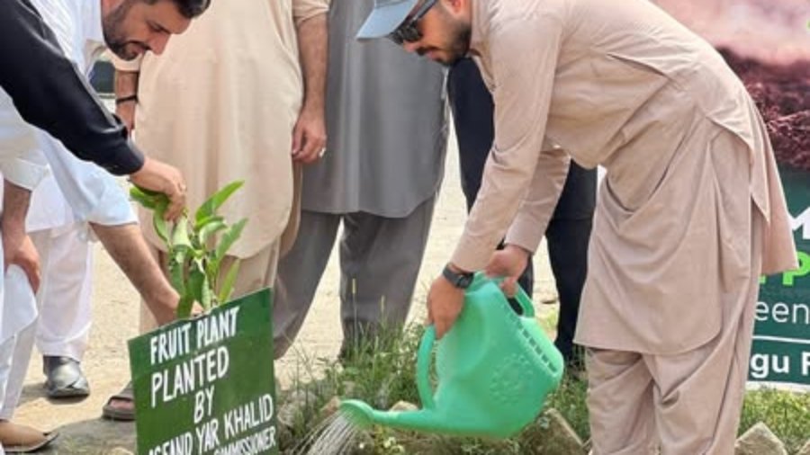 Plantation Drive in DHQ Hangu
