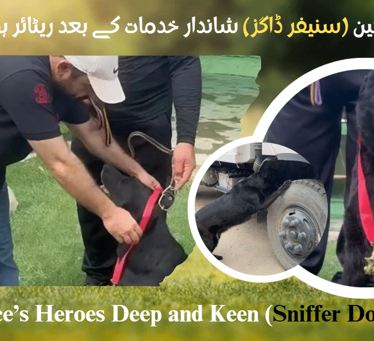 KP Police’s Heroes Deep and Keen (Snipper Dogs) Retir