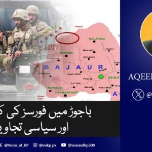 باجوڑ میں فورسز کی کارروائی اور سیاسی تجاویز