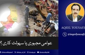 عوامی مجبوری یا سہولت کاری ؟