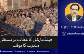فیلڈ مارشل کا خطاب اور مستقل مندوب کا موقف