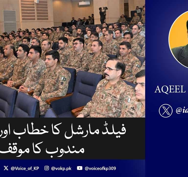 فیلڈ مارشل کا خطاب اور مستقل مندوب کا موقف