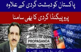 Pakistan faces propaganda in addition to terrorism