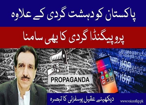 Pakistan faces propaganda in addition to terrorism