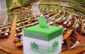 Senate Elections 2025