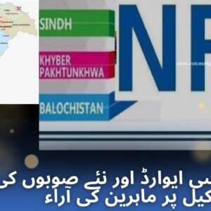 این ایف سی ایوارڈ اور نئے صوبوں کی تشکیل پر ماہرین کی آراء