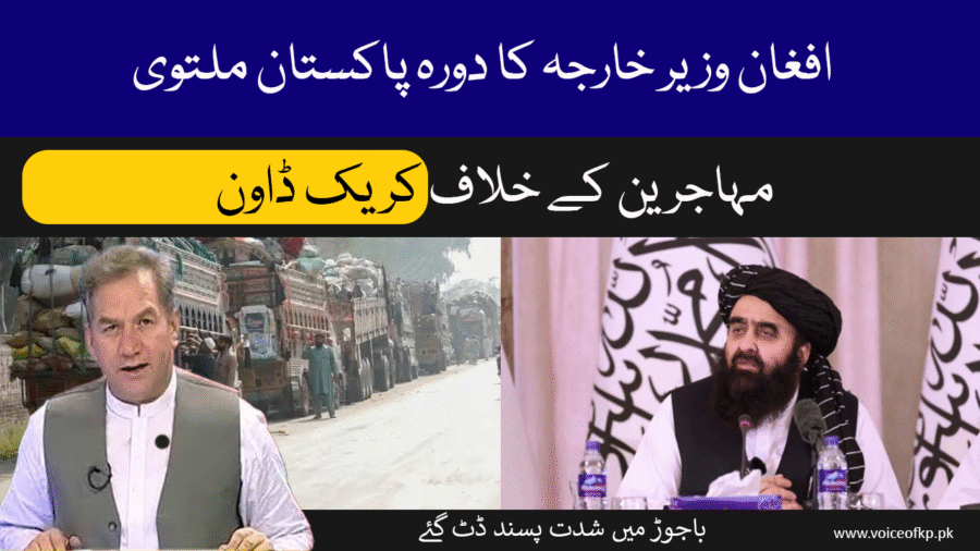 افغان وزیر خارجہ کا دورہ پاکستان ملتوی