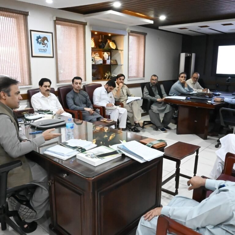 Departmental Development Working Party meeting under the auspices of Department of Tourism and Archeology Khyber Pakhtunkhwa