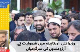 Wisal M Khan Article
