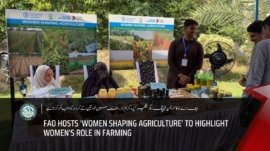 Youtube Thumbnail Wahid