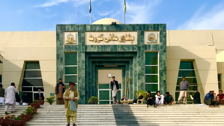 Judgment on the ban of state resouces for political activities