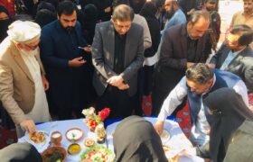 Female festival held at Karak Government Postgraduate College