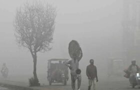 PDMA Khyber Pakhtunkhwa issues alert of severe fog and smog in the province