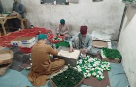 Khyber Pakhtunkhwa: Major Food Safety Operations