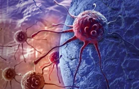 Peshawar: "CancerCon 18" conference held.