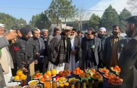 District's first citrus fruit exhibition in Nowshera.