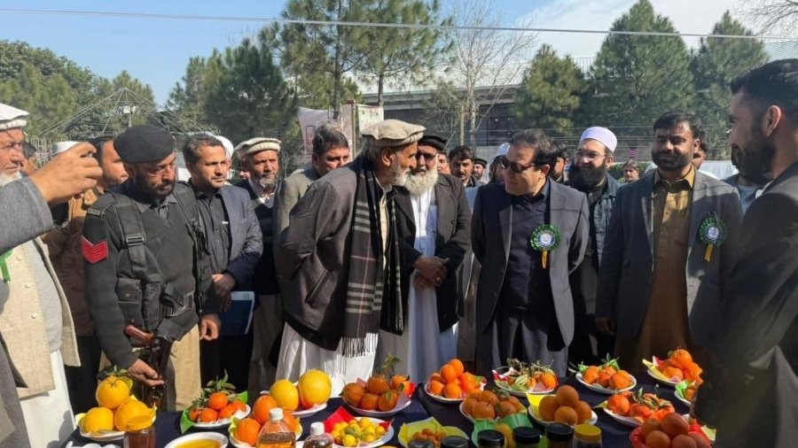 District's first citrus fruit exhibition in Nowshera.