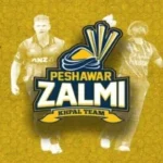 PSL 11: Peshawar Zalmi appoints Ots Gibson as head coach