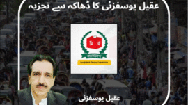 The birth of a new Bangladesh?