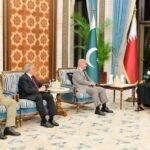 Prime Minister of Pakistan meets the Prime Minister of Qatar.