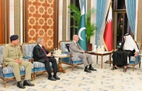 Prime Minister of Pakistan meets the Prime Minister of Qatar.