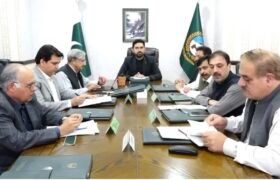 Decision taken to restore model schools and institutes in KP