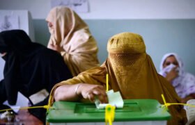 Petition filed in Peshawar High Court for timely local elections in KP.