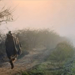 Dry weather and rising temperatures expected in the plains of KP.