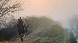 Dry weather and rising temperatures expected in the plains of KP.