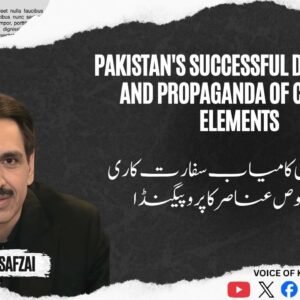 پاکستان کی کامیاب سفارت کاری اور مخصوص عناصر کا پروپیگنڈا
