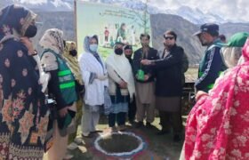 Upper Chitral: Tree plantation campaign organized on the occasion of Pakistan Day