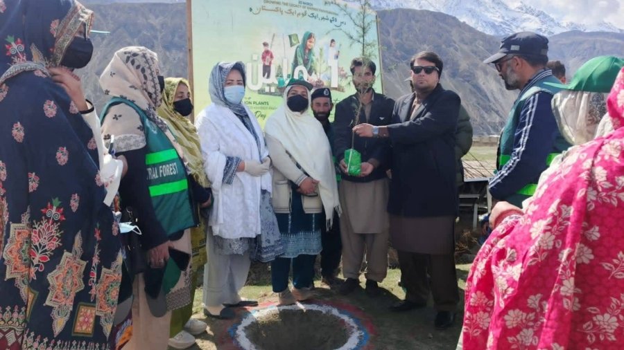 Upper Chitral: Tree plantation campaign organized on the occasion of Pakistan Day